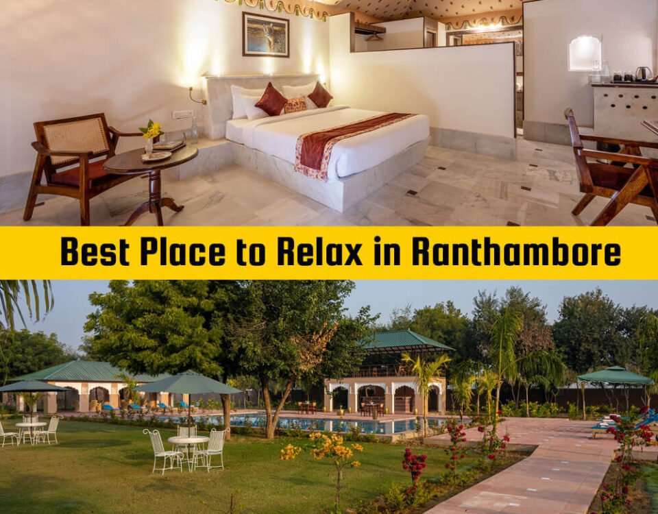 Best-Resort-in-Ranthambore (1)