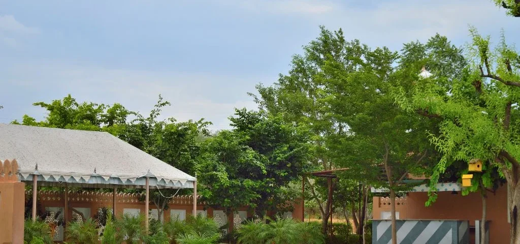 Best resort in Mandawa